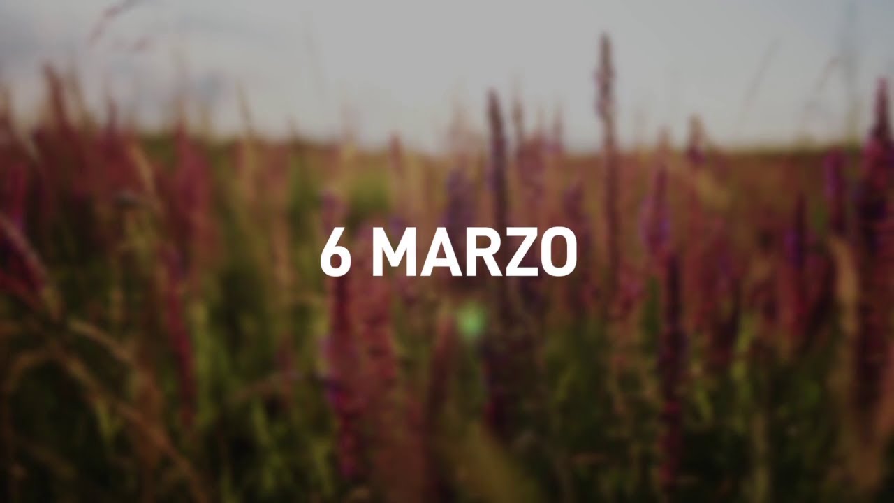 6 Marzo 2025 | Meditazione Parole di Vita