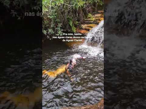Vale do Capão e a beleza da cachoeira de Águas Claras.  Está esperando o que pra vir pra cá?