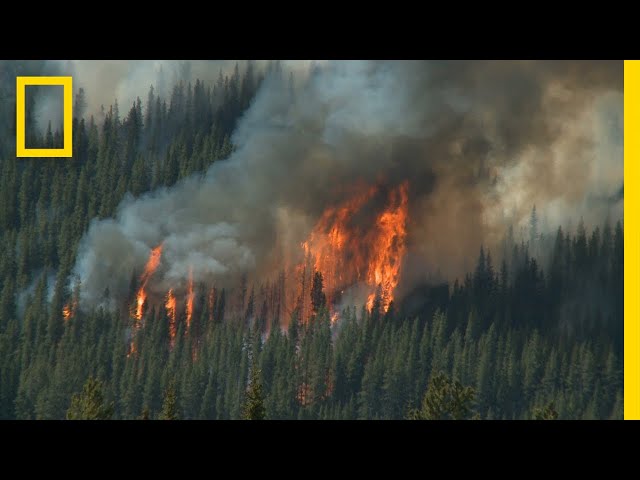 Vídeo relacionado con Current International Perspectives on Wildland Fires, Mankind & the Environment (Natural Disaster Research, Prediction and Mitigation)