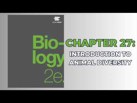 OpenStax Biology 2e (Audiobook) - Chapter 27: Introduction to Animal Diversity