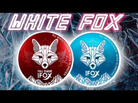 White Fox обзор снюса ✔ Вайт фокс лучший снюс за свои деньги