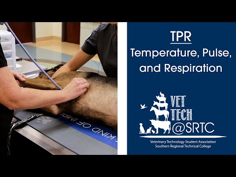 TPR - Temperature, Pulse, and Respiration