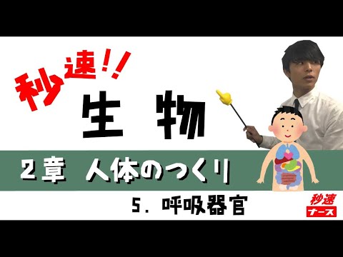 看護学科 【秒速ナース】2-5呼吸器官【生物-授業動画】