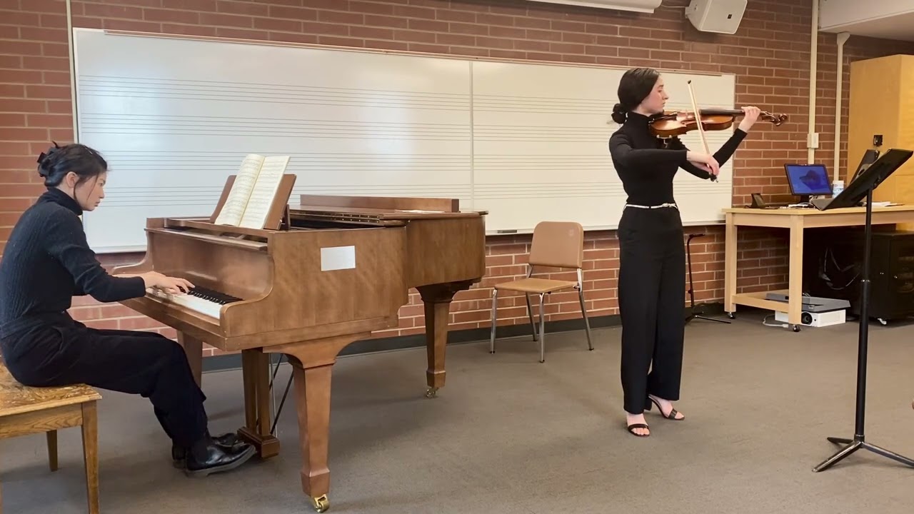 Promotional video thumbnail 5 for Sofia Sednef Violin