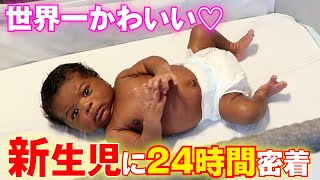 【新生児の1日】赤ちゃんの24時間に完全密着してみた【完母育児ルーティン】