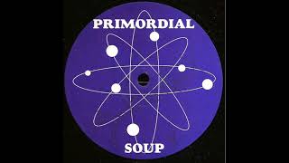 Primordial Soup – Computertalk