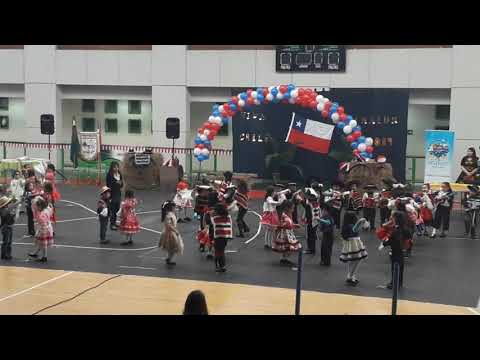 Cueca del Perro Chocolo