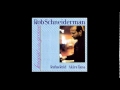Rob Schneiderman - On A Misty Night