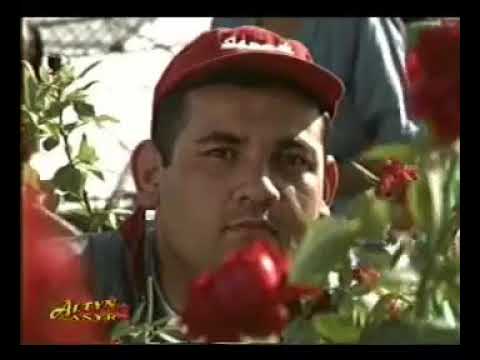 Suwhan Orazberdiyew -  jadyly dilber (Jally filminden)