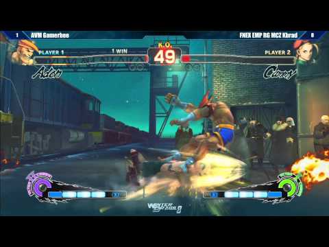 SSF4 AE2012 Top 8 AVM Gamerbee vs FNEX EMP RG MCZ Kbrad - Winter Brawl 8 Tournament