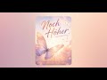 Noch Höher - Aurenix666