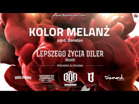 Paluch   Kolor melanż prod  Donatan