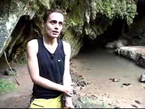 A importância da Educação ambiental na formação das gerações futuras