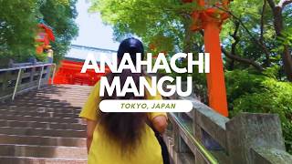 【✨金運アップのパワースポット巡り✨】穴八幡宮で運気を引き寄せる!Visiting Anahachimangu Shrine, a Powerful Spot for Economic Success