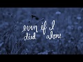 Lyric video - Flint (for the Unemployed and Underpaid), Sufjan Stevens