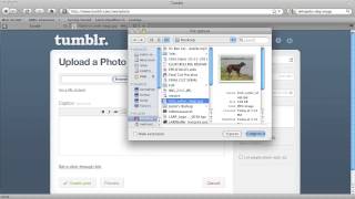 How to Insert a Photo in Tumblr