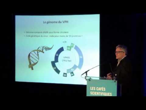 comment traiter hpv 16