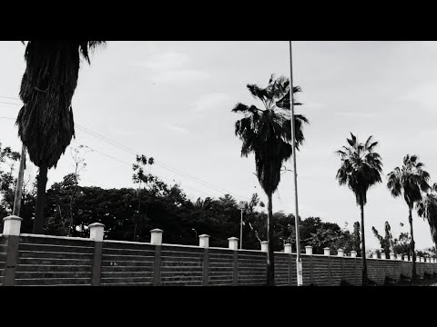 STONEFACE - KAPPA KUMI (OFFICIAL VIDEO) prod. by LUNCHBOX