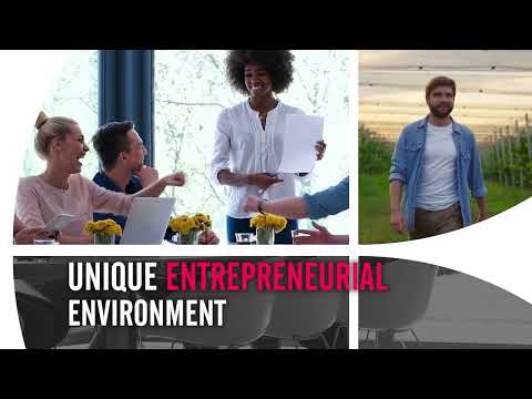 ONE SeedPod November 2023 | ONE