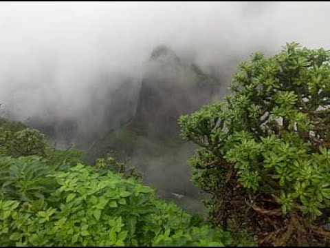 Barish Short video  || Bhumitpatel25 ||