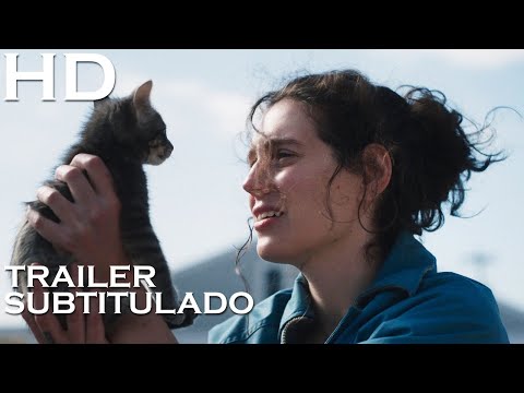 Tráiler en V.O.S.E. de Sorry, Baby