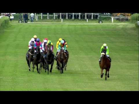 Galopprennbahn Dresden 15.07.2017 - Rennen 2