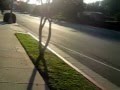 MVI 7015 AVI David Guo Took A Walk