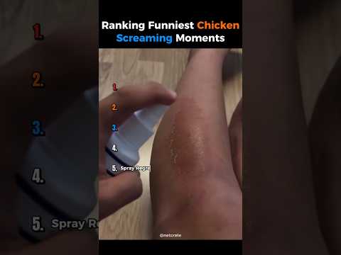 Ranking Funniest Chicken Screaming Moments 😅