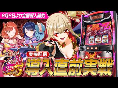 【🔴LIVE#195】導入直前！『L戦国乙女5 業火を穿つ宿焔の双刃』設定⑥実機配信！【ハルルナ】