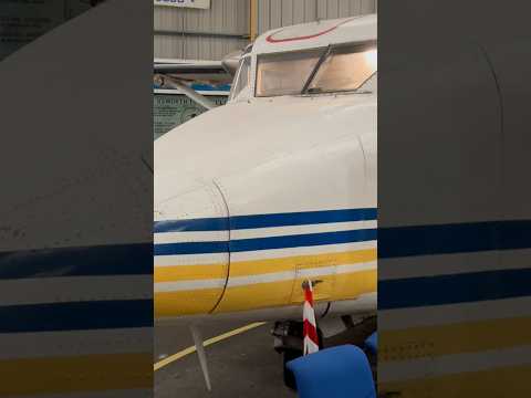 Shorts SD-330 Preservation at NELSAM