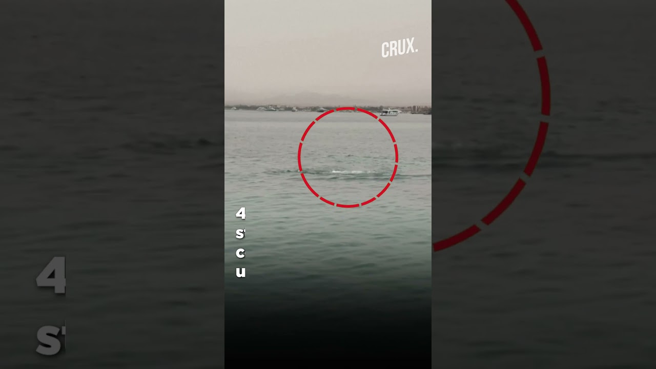 Russian Mauled By Shark At Egyptian Red Sea Resort As Onlookers Gasp In Horror
