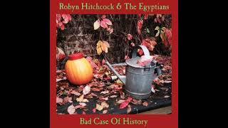 Beautiful Queen - Robyn Hitchcock &amp; the Egyptians