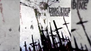 Download lagu Crucified Concubine - 2-hour One-man Project (Slamming Brutal Death Metal Instrumental) mp3