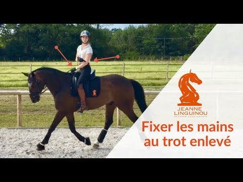 Comment fixer les mains au trot enlevé - Les tutos de Jeanne Linguinou