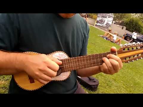 Charango with Travel Bag image 7