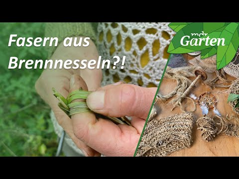 Fasern aus Brennesseln gewinnen und verarbeiten | MDR Garten