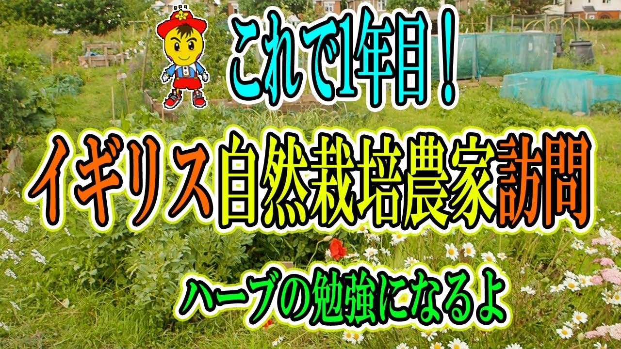 自然栽培1年目のガーデン見学|多種多様なハーブと野菜が育つ畑の個性