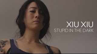 XIU XIU — Stupid In The Dark (Глуп В Темноте) by Kaonashi Lyrics
