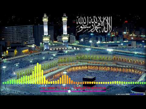 Ya Habib Al Qalbi | Safiyat Ibrahimova | Beautiful Voiceيا حبيب القلبي