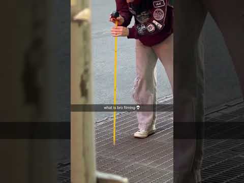 You won't believe what I found #shorts #cat #funny
