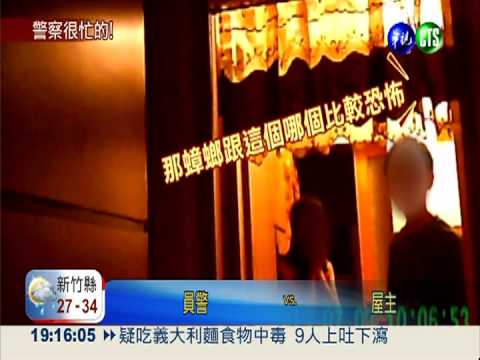 家裡有壁虎! 婦人打110報警抓