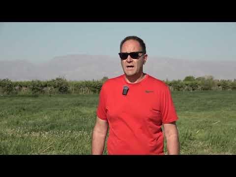 Bodega Búbica, cuatro generaciones con origen en Croacia