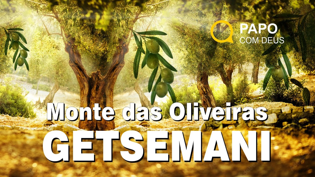 Getsemani - Monte das Oliveiras | Estudo 80