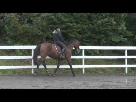 24/08-14 ~ Dressur time for Ove Natland ~Solveig & Ezeni G~