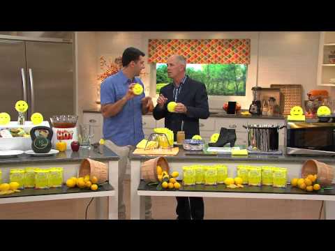 Dan Hughes Scrub Daddy