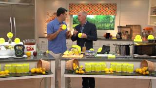 Scrub Daddy Set of 8 Scented Scratch Free Sponges with Dan Hughes