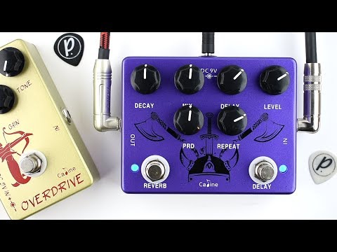 Caline CP-80 Ragnarok Reverb Delay image 2