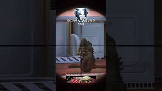 CODと言えばやっぱこれなんだよなぁ〜