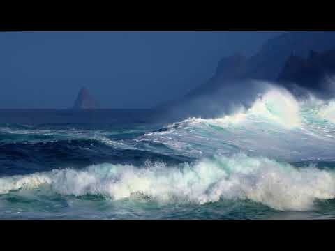 Oază de liniște: Muzică serenă pentru relaxare și meditație | Sunete de calm