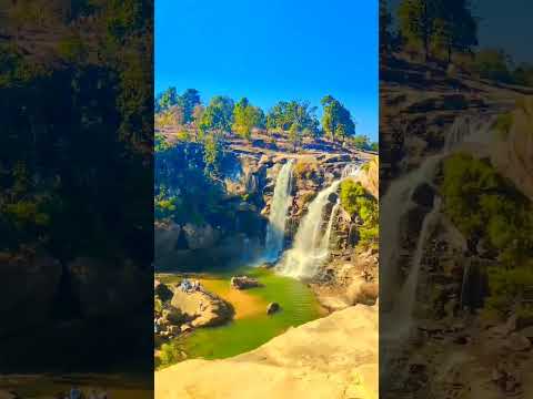 Nature ❤️🌳🌴😍